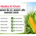 Makka Ki Kheti