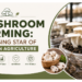 Oyster Mushroom Farming