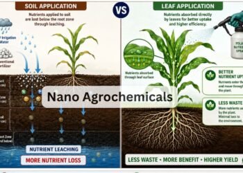 Nano Agrochemicals