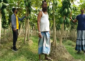 बेगूसराय के किसान अमरदीप ने पपीते की खेती ( Papaya Farming) से रचा सफलता का नया अध्याय