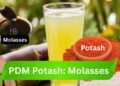 PDM Potash : Molassis