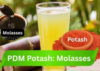 PDM Potash : Molassis