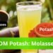 PDM Potash : Molassis