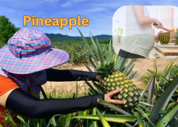 pineapple