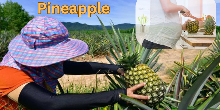 pineapple