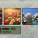 Rose Farming