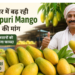 totapuri mango