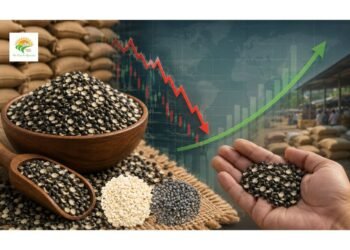 urad dal