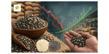 urad dal