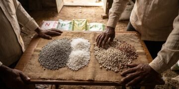 खरीफ 2026 से पहले सरकार की बड़ी तैयारी, यूरिया उत्पादन 23% बढ़ा