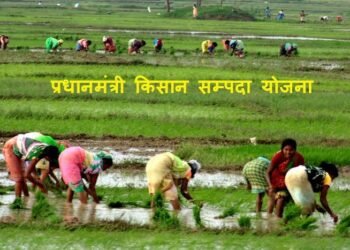 प्रधानमंत्री किसान संपदा योजना: खाद्य प्रसंस्करण अवसंरचना को मिल रही नई मजबूती, किसानों की आय बढ़ाने में निभा रही अहम भूमिका