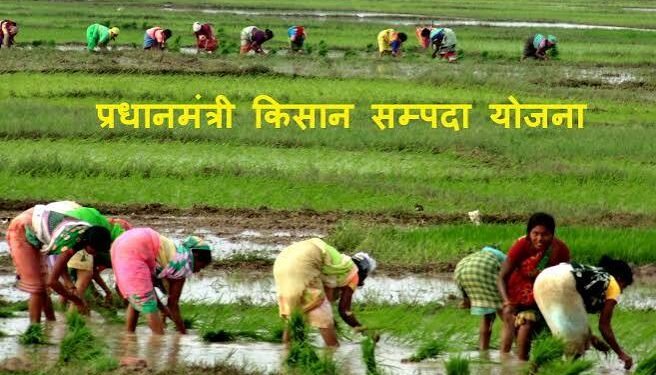 प्रधानमंत्री किसान संपदा योजना: खाद्य प्रसंस्करण अवसंरचना को मिल रही नई मजबूती, किसानों की आय बढ़ाने में निभा रही अहम भूमिका