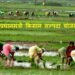 प्रधानमंत्री किसान संपदा योजना: खाद्य प्रसंस्करण अवसंरचना को मिल रही नई मजबूती, किसानों की आय बढ़ाने में निभा रही अहम भूमिका