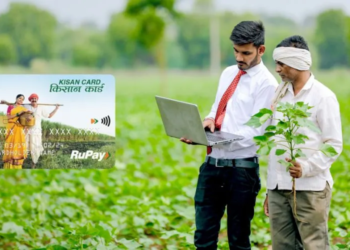 Agricultural Export Promotion Scheme