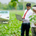 Agricultural Export Promotion Scheme