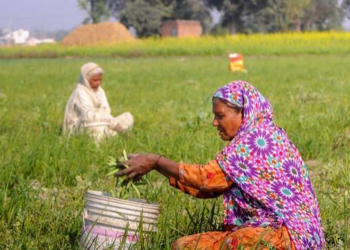 Agricultural Risk Mitigation Scheme