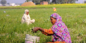 Agricultural Risk Mitigation Scheme