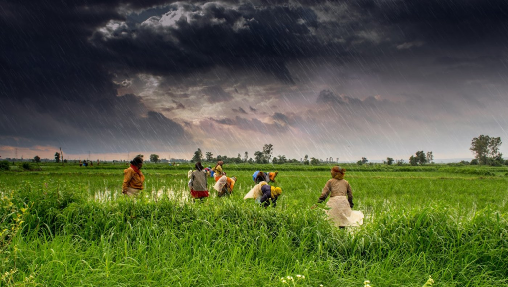 Agricultural Weather Advisory