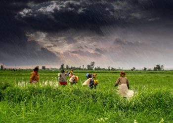 Agricultural Weather Advisory