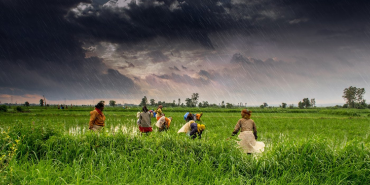 Agricultural Weather Advisory