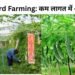 Bitter Gourd Farming