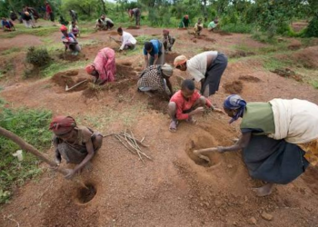 Desertification Control Programme