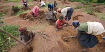 Desertification Control Programme