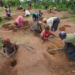 Desertification Control Programme