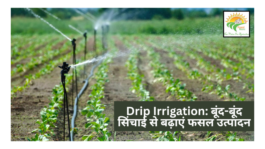 Drip Irrigation