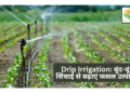 Drip Irrigation