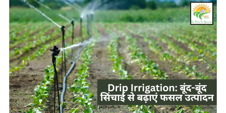 Drip Irrigation