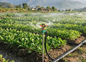 Drip Sinchai Subsidy Yojana: जानें पात्रता, लाभ और ऑनलाइन आवेदन प्रक्रिया