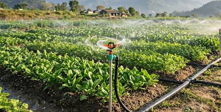 Drip Sinchai Subsidy Yojana: जानें पात्रता, लाभ और ऑनलाइन आवेदन प्रक्रिया