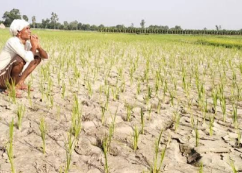 Drought Prone Areas Programme