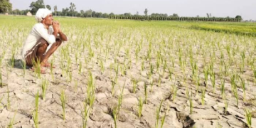 Drought Prone Areas Programme