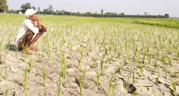 Drought Prone Areas Programme
