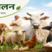 पशुपालन: किसानों की आय बढ़ाने और ग्रामीण अर्थव्यवस्था को मजबूत बनाने का सशक्त माध्यम