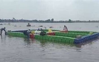 Fisheries in Uttar Pradesh got a boost from the Prime Minister's Fisheries Sampada Yojana.