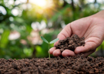 Integrated Nutrient Management