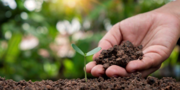 Integrated Nutrient Management