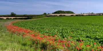 Integrated Pest Management