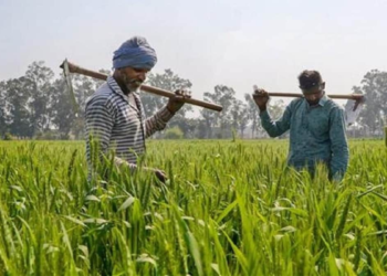 Kisan Samman Nidhi State Top-up Schemes