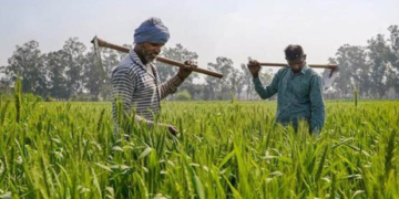 Kisan Samman Nidhi State Top-up Schemes