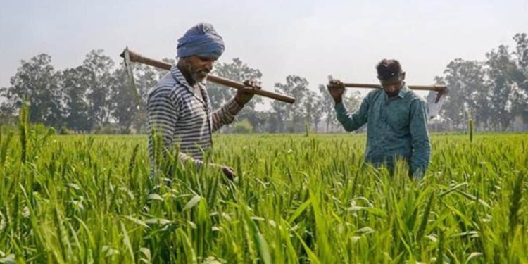 Kisan Samman Nidhi State Top-up Schemes