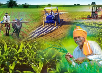 Krishi Jaiv Praudyogiki Niti