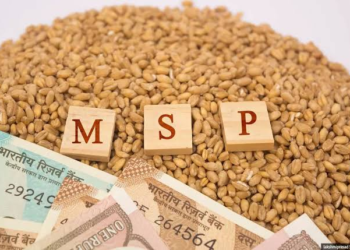 MSP Legal Guarantee