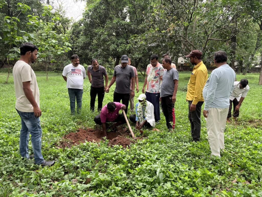 Mass plantation