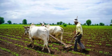 Mukhyamantri Krishi Ashirwad Yojana