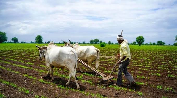 Mukhyamantri Krishi Ashirwad Yojana