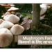 Mushroom Farming
